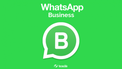 Ventajas Y Desventajas De Whatsapp Business Tecnocible Agencia Digital 1071